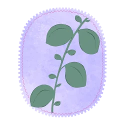 papelescontexturasespeciales